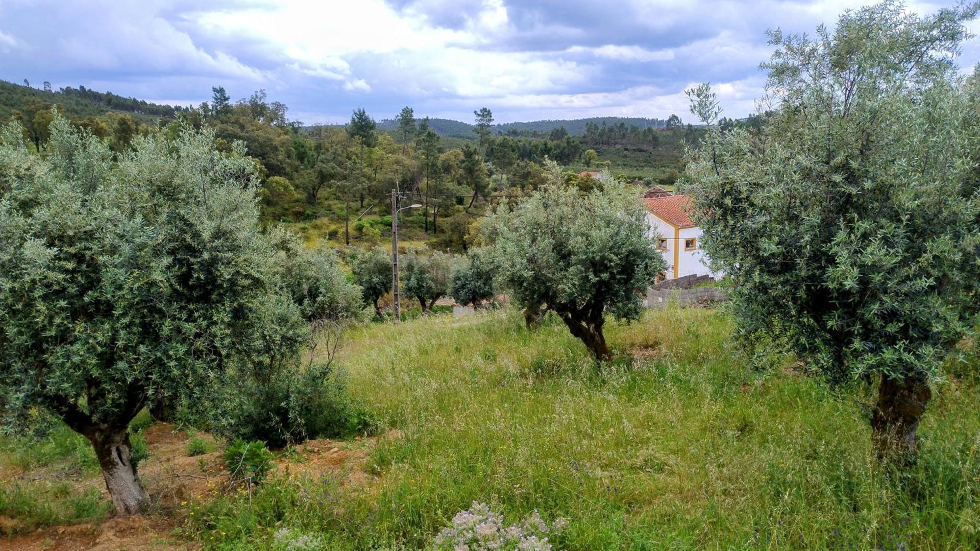 Alegria Rustica 2 Rustic Happiness Bed & Breakfast Envendos Exterior photo